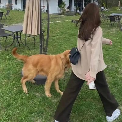 不归的使者